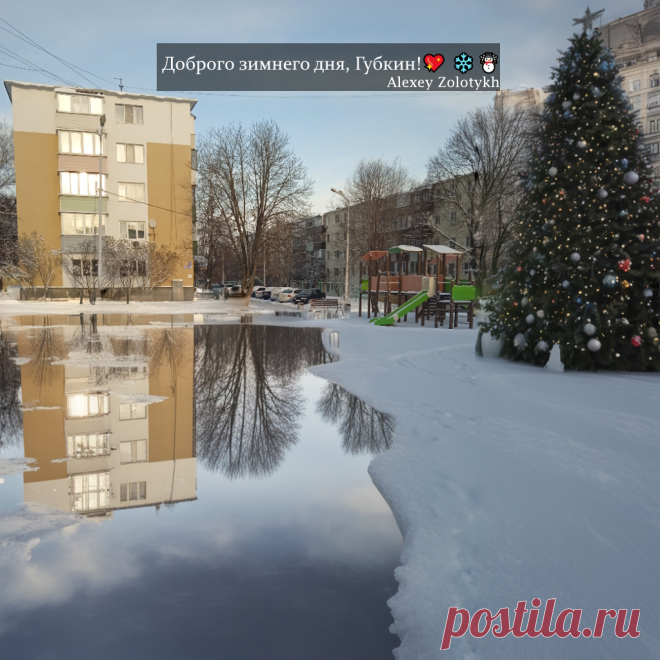 Доброго зимнего дня, Губкин!💖 ❄️☃️