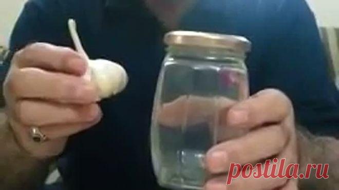 Как быстро...