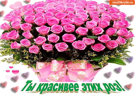 Прикольные и красивые поздравительные откытки - Бесплатно на https://moiotkrytki.ru