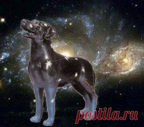 ЭКЗОТЕРИЧЕСКИЙ КОСМОС. : ОЛЕГ ЗАТУЛИН: ДНИ ЛЕТНЕГО СОЛНЦЕСТОЯНИЯ. ПРЕДСТАВЛЯЮ.