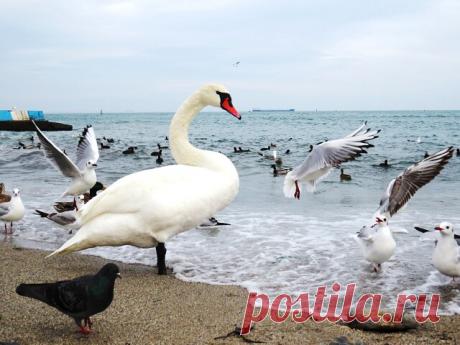 27.01.2021 Феодосия, пробежалась по набережной)