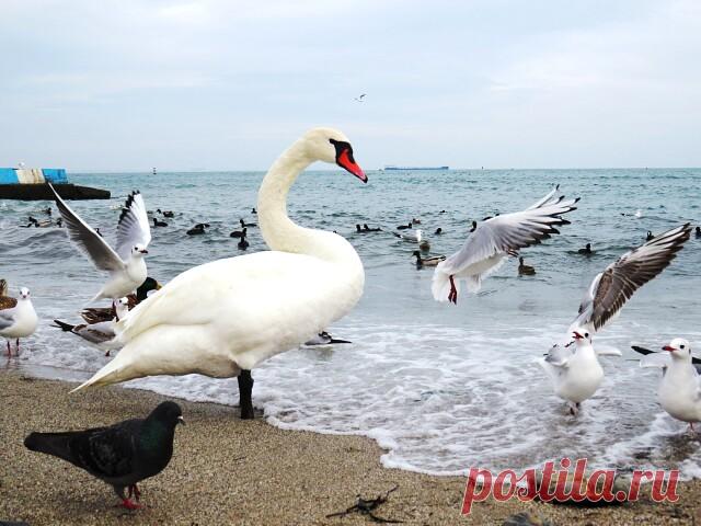 27.01.2021 Феодосия, пробежалась по набережной)