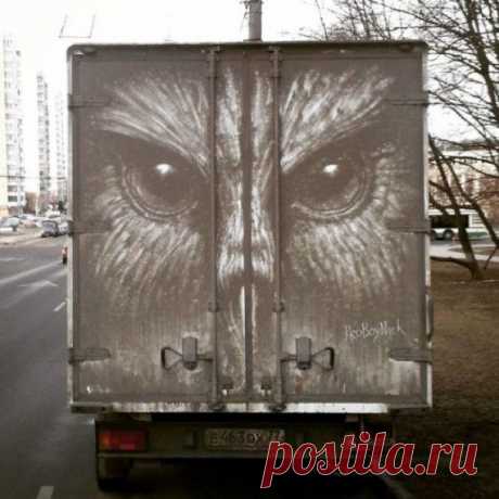 Прикольные рисунки на грязных машинах