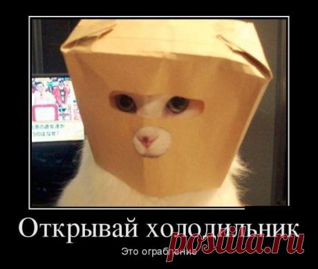 Интересные новости