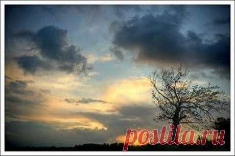 Sunset Silhouette (3) | Flickr - Photo Sharing!