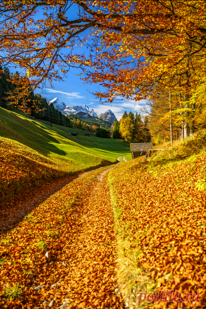 Zulya S - Google+