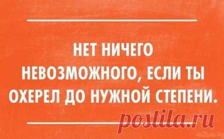 Катерина Швец