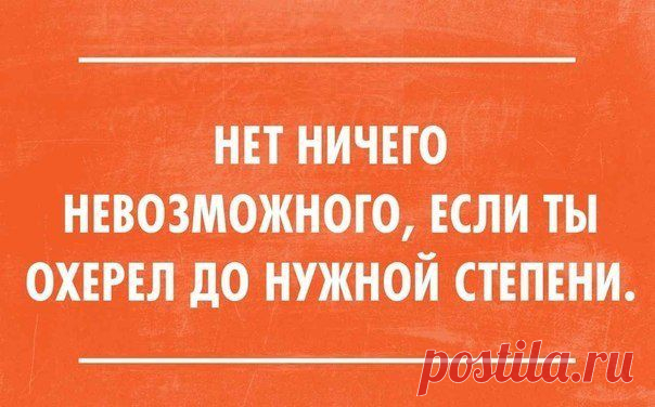 Катерина Швец