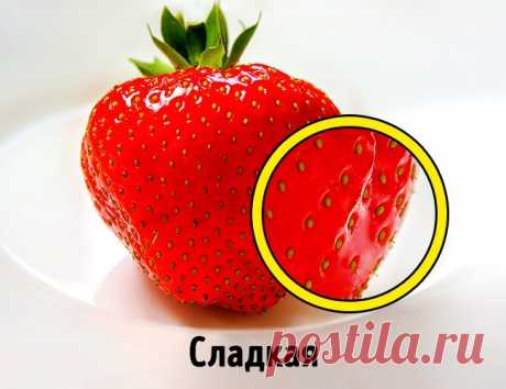 5 признаков, по которым вкусную клубнику можно отличить от «пластиковой»