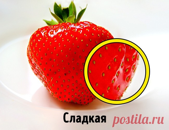 5 признаков, по которым вкусную клубнику можно отличить от «пластиковой»