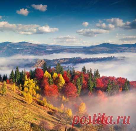 Осінні Карпати