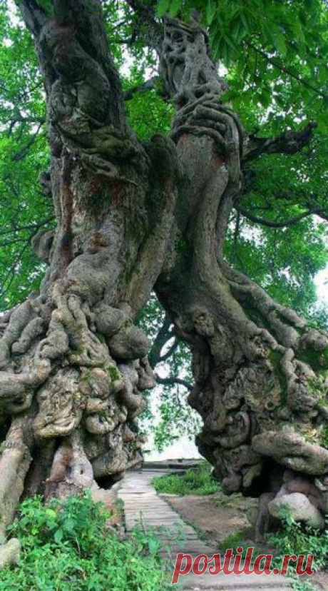 (156) Pinterest