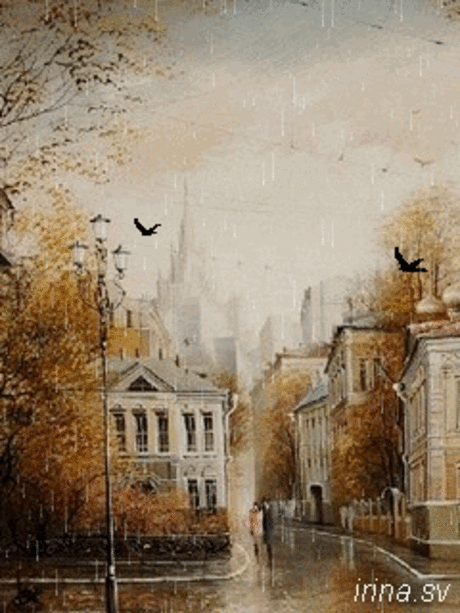 714197.gif (240×320)