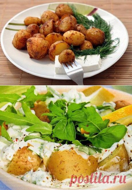 Что приготовить из молодого картофеля? — Вкусные рецепты