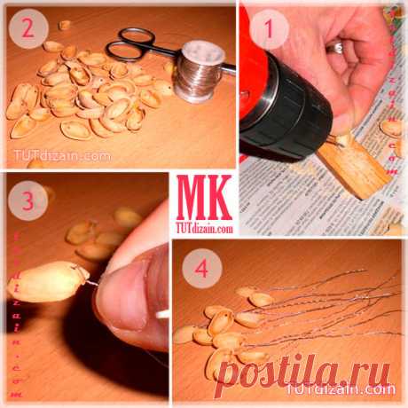 Денежное деревце из фисташек » Планета рукоделия