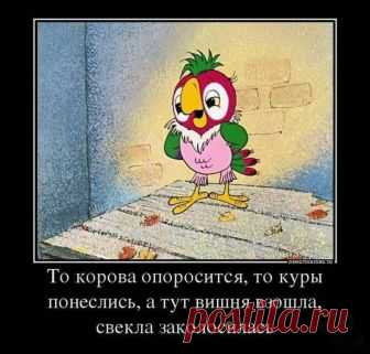 Смешные фразы из мультфильмов, которые не стареют