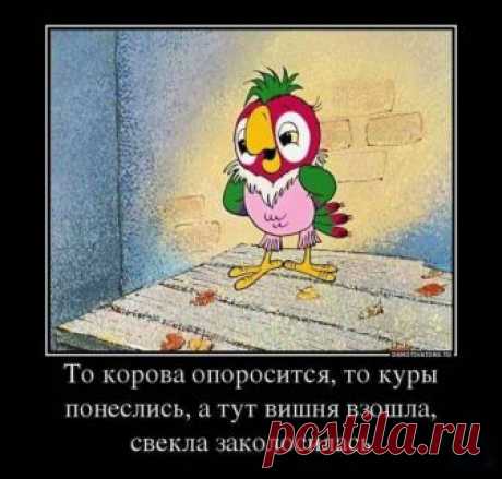 Смешные фразы из мультфильмов, которые не стареют