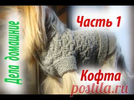 Кофта для собаки своими руками.Уроки вязания на канале ''Дела домашние''.