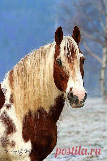 И вовсе не блондинка...