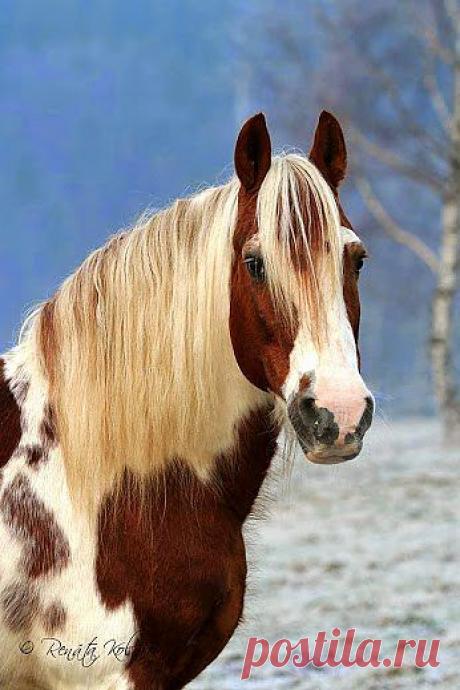 И вовсе не блондинка...