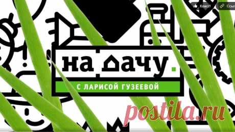 На_дачу!_С_Ларисой_Гузеевой._Выпуск_от_11.10.2020