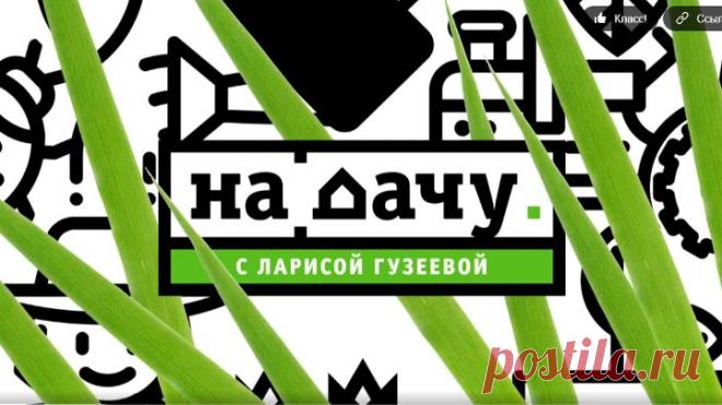 На_дачу!_С_Ларисой_Гузеевой._Выпуск_от_11.10.2020