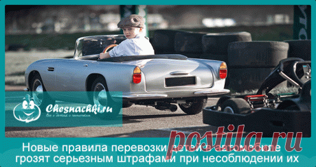 Правила перевозки детей в автомобиле с 1 июня 2017