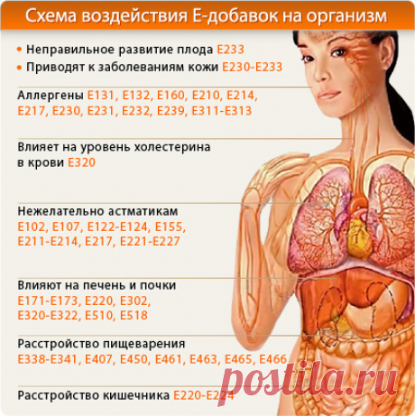 Полный каталог пищевых добавок (Е-добавок)