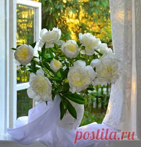 Google+