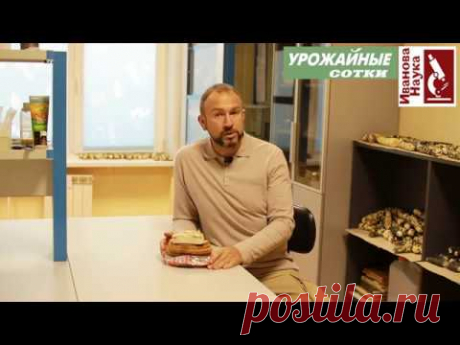 Сало - лучший витамин! Ешьте много и не бойтесь.