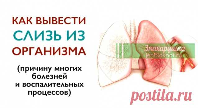 Слизь в организме… Как от нее избавиться Эта ядовитая слизь образуется из остатков не переваренной и не удаленной ненатуральной пищи, накапливаемой с момента рождения!