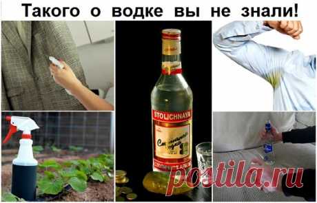 (1) Одноклассники