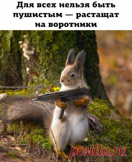 о