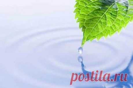 Как получить чистую «живую» воду в домашних условиях