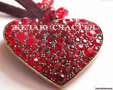 853945071.gif (600×479)