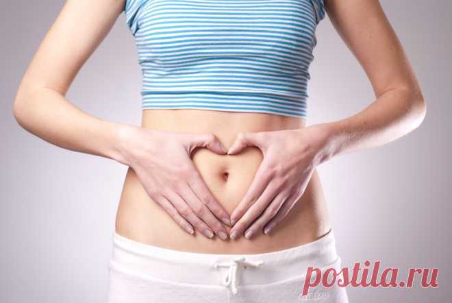 Здоровый кишечник – основа иммунитета. Основные правила