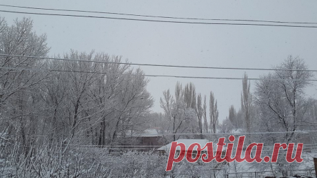 Ձյունառատ լուսաբաց...👻
Մարտի 24-ի լուսաբագը եւս դիմավորեցինք ձյան առատ տեղումներով...ոչ մի կերպ ձմերը չի ուզում հերանալ,զիջելով դիրքերը գարնանը:Դե ինչ այս գեղեցիկ ,տեղացող ձյունով ուղեկցվող օրը հուսամ կլինի օրհնությամբ լեցուն ու բարեբեր: