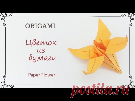 Как избавиться от черной плесени в ванной