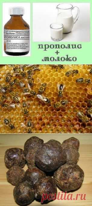 настойка прополиса