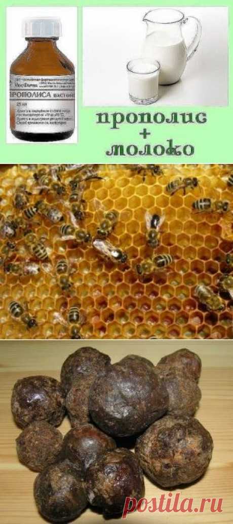 настойка прополиса