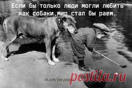 Фотографии на стене сообщества | 32 770 фотографий