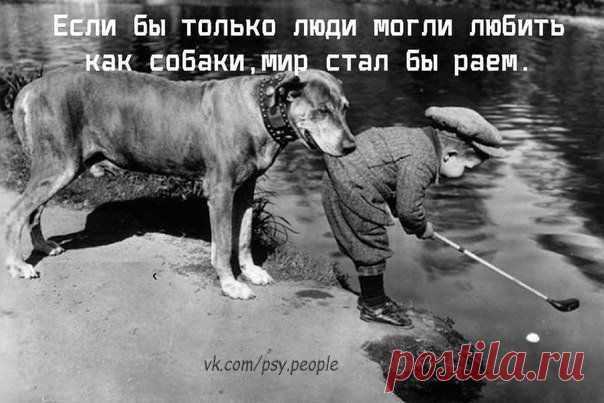 Фотографии на стене сообщества | 32 770 фотографий