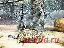 ну что красивая, поехали кататься....