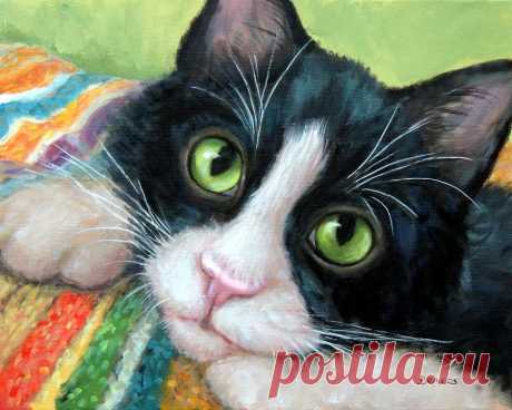 Tuxedo Cat with Blankie by Dottie Dracos Tuxedo Cat with Blankie Painting by Dottie Dracos