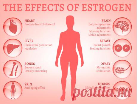 Гормон молодости: Что есть женщинам, чтобы надолго сохранить красоту
