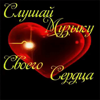 💏💏💏💏💑💏💏💏💏