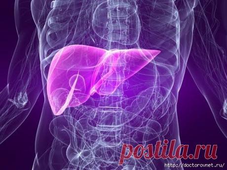 7 лучших способов защиты от гепатита. | Познавательный сайт ,,1000 мелочей"