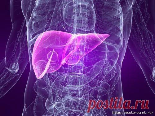7 лучших способов защиты от гепатита. | Познавательный сайт ,,1000 мелочей"
