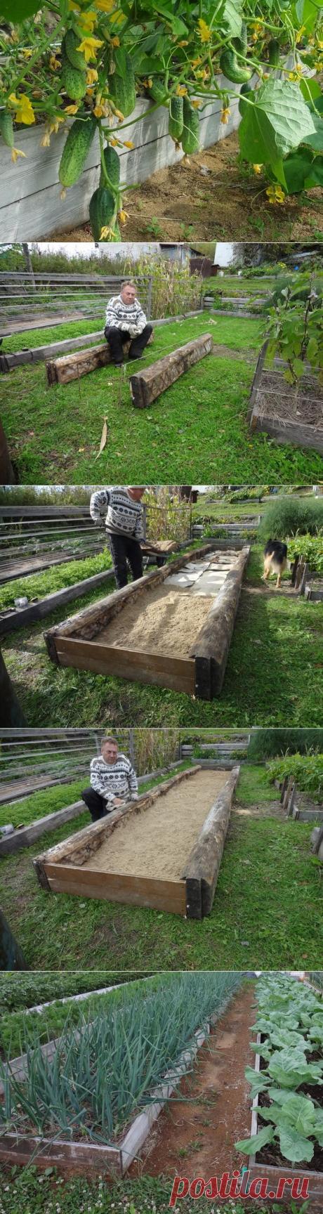 Урожайные грядки от Игоря Лядова(Вот это урожай!!!)