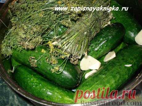 Огурцы с горчицей на зиму на RussianFood.com